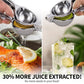 Premium Heavy-Duty Stainless Steel Lemon Squeezer Press 1 Pc