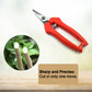 Durable stainless steel pruning scissors, ideal for cutting fruit trees and plants.
