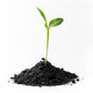 NutriSoil Vermicompost
