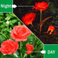 6616a Garden Solar Outdoor Rose Lights Decorative  Waterproof Flower Light For Garden Patio Landscape Pathway Yard Holiday Decoration